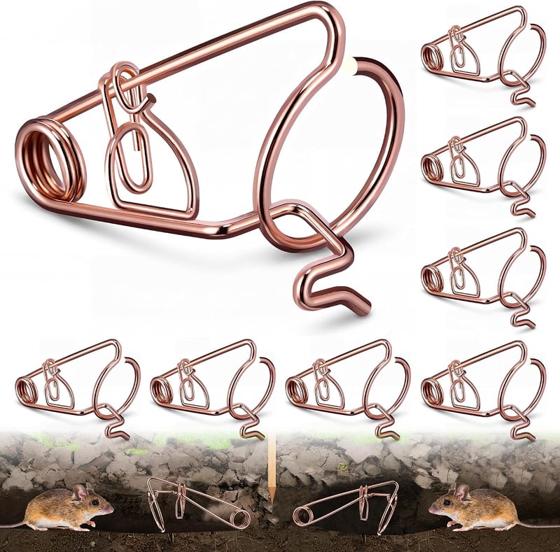 Set 8 capcane profesionale XXL Enhon din sârmă de oțel cuprată, netoxice, reutilizabile, ecologice, pentru grădină, gazon și câmp