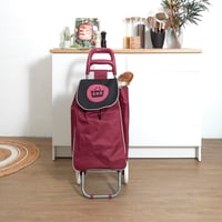 Dvojkolesový nákupný vozík Entre Temps Sh1541 Picto, 50 l, s vreckom na zips, farebný dizajn, polyesterový materiál 9