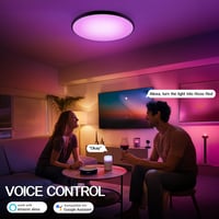 Eregou LED Mennyezeti Lámpa 24W WiFi RGB Dimmer Alexa Google Home Fürdőszoba Hálószoba 3