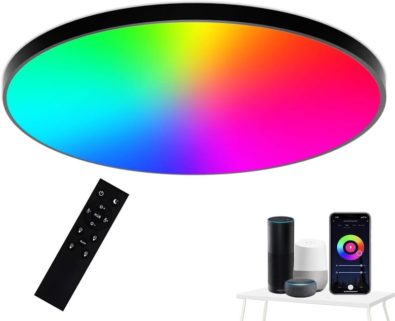 Eregou LED Mennyezeti Lámpa 24W WiFi RGB Dimmer Alexa Google Home Fürdőszoba Hálószoba