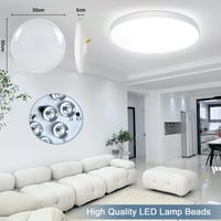 Eregou LED Mennyezeti Lámpa Dimmelhető 24W RGB Okos Alexa Google Home 5