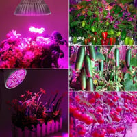 Esbaybulbs LED Növénylámpa E27 Teljes Spektrum Növekedési Fény 7
