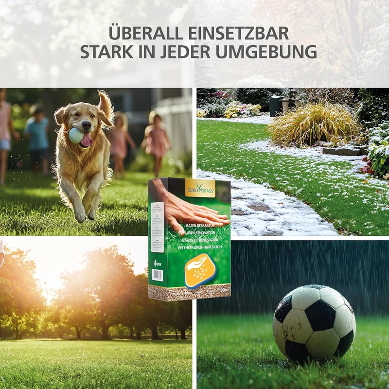 EURO GRASS Gyepjavító Fűmag Keverék Gyors Csírázású 2kg 130m² Kopár Foltok Javítására Sűrű Tartós Gyep Őszi Vetéshez