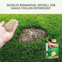 EURO GRASS Gyepjavító Fűmag Keverék Gyors Csírázású 2kg 130m² Kopár Foltok Javítására Sűrű Tartós Gyep Őszi Vetéshez 3