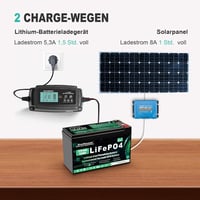EverExceed 12V 8Ah LiFePO4 Lítium Akkumulátor Napelem Szélenergia Halradarhoz 4