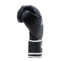 Boxerské rukavice Everlast Core 2, veľkosť L/XL, čierne – Boxerské rukavice zo syntetickej kože na vrece, lapy a fitnes, dvojvrstvové penové polstrovanie, ergonomické 3