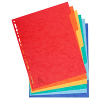 Exacompta 2406SE sada deliacich listov, 3 balenia x 6 neutrálnych záložiek, A4 Maxi, 24,5x29,7 cm, 225 g/m² FSC kartón, mix farieb 3