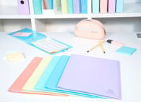 Prezentačná zložka Exacompta Chromaline Pastel A4, 40 vreciek, zelená, balenie 10 ks, s obalom z recyklovaného polypropylénu 6