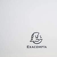 Dosar cu inele pentru prezentare Exacompta Kreacover 86471E, 40 de buzunare detașabile, A4, alb, copertă rigidă opacă din polipropilenă, pentru birou și școală 7