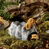 Peșteră din ceramică Exo Terra Wet Rock pentru reptile și amfibieni - Adăpost umed cu rezervor de apă, dimensiune mare 4