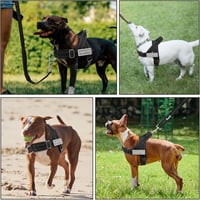 Eyein Kutyahám Nagy és Közepes Kutyáknak, Párnázott Mellkas Hám Reflexcsíkkal, Könnyű Anti-Húzó Hám Sétához és Edzéshez, Fekete L 8