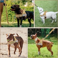 Eyein XL Puliknak Szoftvédett Mellény Hám Vezetékkel Reflexcsíkos Könnyű Húzásgátló 8