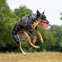 EzyDog Crosscheck Kutyahám Húzásgátló Funkció - Piros Mellény Hám Kis Közepes Nagy Kutyákhoz, Fényvisszaverő Állítható XL 8