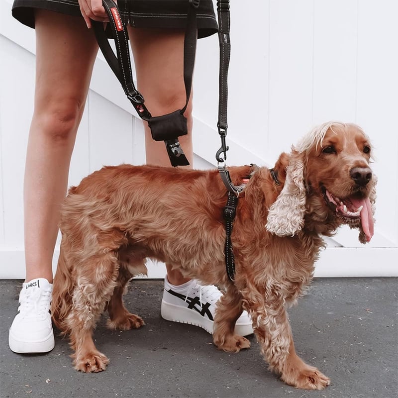 EzyDog Crosscheck Kutyahám Húzásgátló Funkció - Piros Mellény Hám Kis Közepes Nagy Kutyákhoz, Fényvisszaverő Állítható XL
