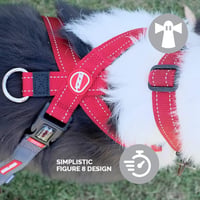 EzyDog Crosscheck Kutyahám Húzásgátló Funkció - Piros Mellény Hám Kis Közepes Nagy Kutyákhoz, Fényvisszaverő Állítható XL 4
