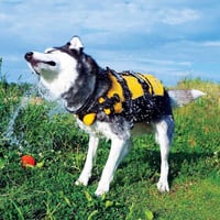 EzyDog DFD Kutya Mentőmellény Piros M Méret - Állítható Úszómellény Kutyáknak 18-27kg Reflektoros Vízálló 6
