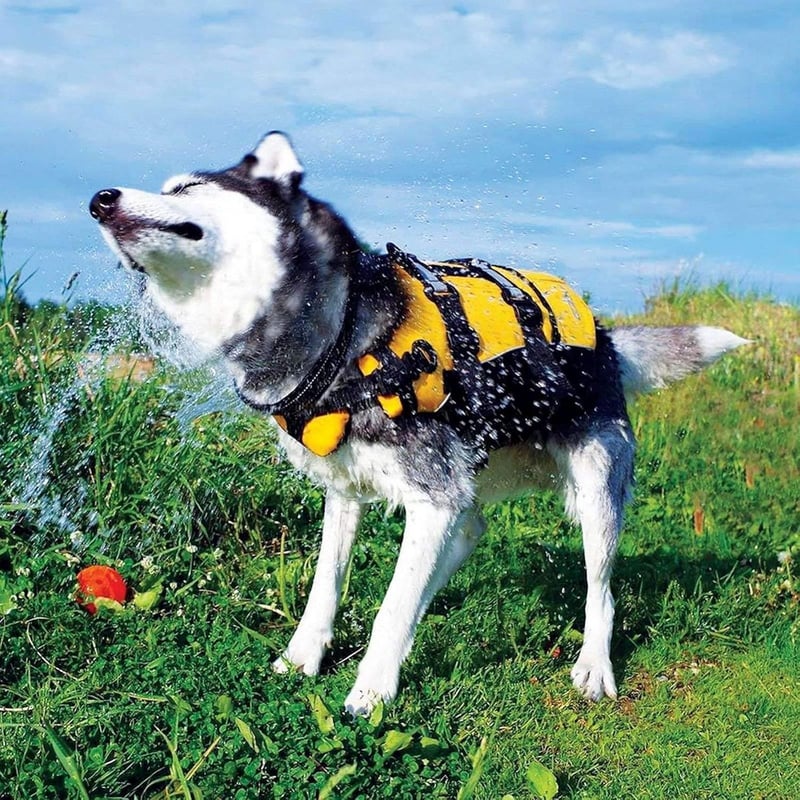EzyDog DFD Kutya Mentőmellény Piros M Méret - Állítható Úszómellény Kutyáknak 18-27kg Reflektoros Vízálló