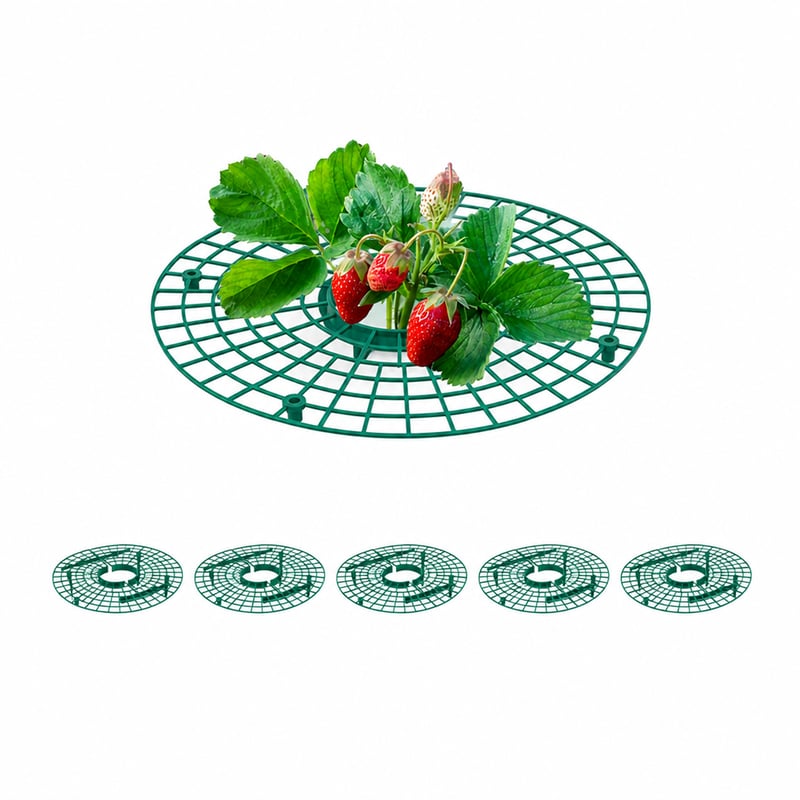 Suport pentru căpșuni Relaxdays, set 6 bucăți, protecție din plastic verde împotriva melcilor și putregaiului, incomplet (lipsesc 4 picioare) (stare: vezi a 2-a imagine)