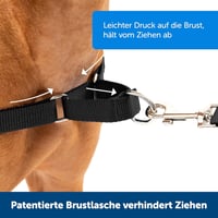 PetSafe Easy Walk Fekete Hámok Kutyáknak - Húzásgátló, Fojtásmentes S Méret + 1,8m Póráz 2