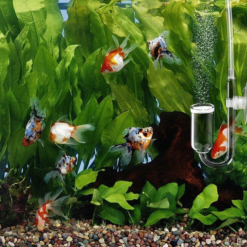 Nano CO2 Diffúzor U-alakú Üveggel és Szívókupakkal Akváriumhoz