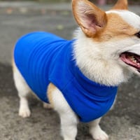 Kék Polár Fleece Kutyakabát - Meleg, Lélegző Téli Dzseki Kis és Nagy Ebeknek 9