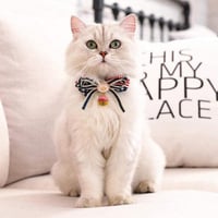 Karácsonyi Színes Csengők Fenyőfa Díszítéshez - 20 db Kis Harang 5