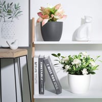 T4U 12 cm-es önöntöző virágcserép szett, 10 db fekete kaspó orchideákhoz, fűszernövényekhez 2