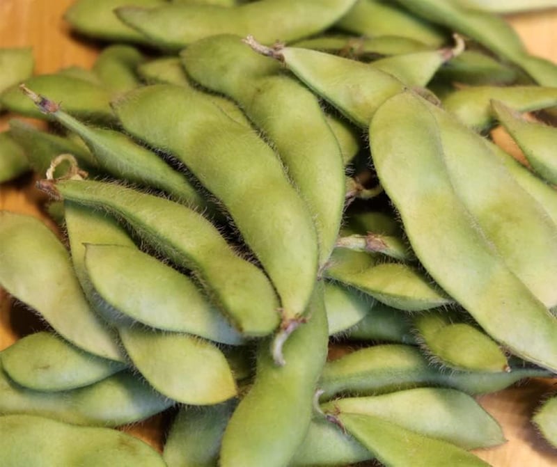 Chiba BIO zöld edamame szójabab vetőmag
