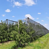 Zonon Rovar- és Madárvédő Háló - Fekete Polyester Kerti Védőháló Szúnyog, Légy és Madár Ellen - 10m x 3m Méretű Rugalmas Szúnyogháló 5