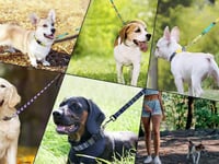 Virágmintás Nylon Kutyapóráz 1,8m - Minden Méretű Kutyának 6