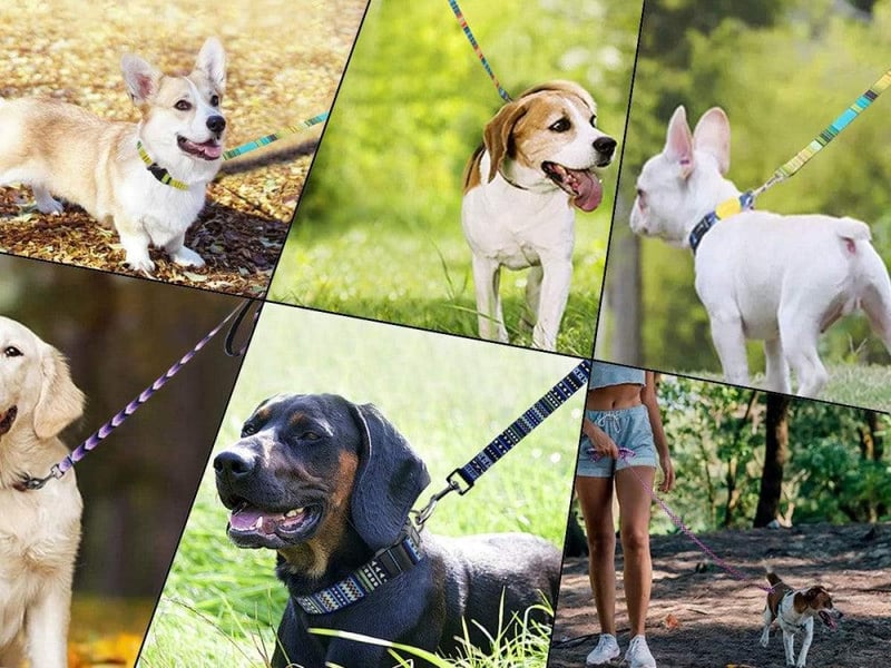 Virágmintás Nylon Kutyapóráz 1,8m - Minden Méretű Kutyának