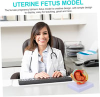 Healeved Anatómiai Magzat Modell - Élethű Méh és Embrió Szemléltető Eszköz Orvostanhallgatók és Szülésznők Számára, 12x11x11 cm, PVC 9