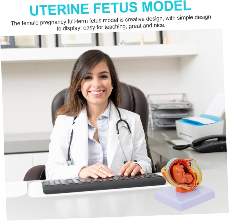 Healeved Anatómiai Magzat Modell - Élethű Méh és Embrió Szemléltető Eszköz Orvostanhallgatók és Szülésznők Számára, 12x11x11 cm, PVC