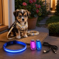 Sigurnost u noćnoj šetnji: reflektirajuća orma + LED ogrlica + 2x LED privjesak + USB kabel 1
