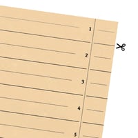 Falken 100 buc. Separatoare din carton reciclat DIN A4, culoarea șamois, pentru bibliorafturi, dosare, caiete mecanice și agende, certificat Blue Angel 3
