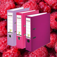 Biblioraft FALKEN PP-Color, cotor 8 cm, format A4, culori pastelate diverse, 3 bucăți 2