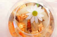 Fangoo Vegyes Kagylók és Tengeri Csillagok 9+2 Típus 3-9cm Dekoráció 4