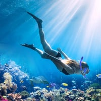 LITTLEJSY Snorkel szett felnőtteknek páramentes búvármaszk és száraz snorkelcsővel 7