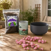 Tavaszi virágvarázs: virágmagvető készlet + 10 l virágföld + 30 cm virágcserép + 3 db sakura ág 1