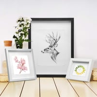 EUGAD E809 Fa Képkeret Üveglappal, 3D Tárgyak Kiállításához, 21x29,7 cm Méretben, Téglalap Alakú, 5 Színben Elérhető Fotókeret 7