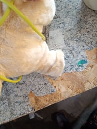BABY Born My Dog Lucky interaktív plüss kutya játék 5 — hibás, részben működik: törött jobb hátsó láb (állapot: lásd a 2. képet) 5