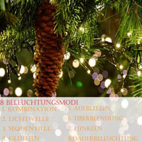 Feelhea 10m LED Tündérfény 100 Izzóval - Meleg Fehér Fényfüzér 8 Világítási Móddal, IP44 Vízálló Beltéri-Kültéri Dekoráció Karácsonyra, Eskü 4