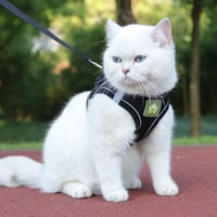 FEimaX Puha Hálós Kutyahám Macskahám Kicsi Kutyáknak Légáteresztő Állítható Visszaverő 8