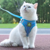 FEimaX Puha Hálós Kutyahám Macskahám Kicsi Kutyáknak Légáteresztő Állítható Visszaverő 7