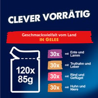 Felix So gut wie es aussieht vlažna mokra hrana za mačke u želeu, mješoviti okusi, 120 komada (120 x 85 g) 5