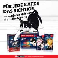 Felix So gut wie es aussieht vlažna mokra hrana za mačke u želeu, mješoviti okusi, 120 komada (120 x 85 g) 7