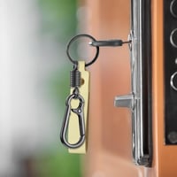 Fentar 10 db Karabiner Kulcstartó Cink Ötvözet Rozsdamentes Fekete Ezüst 8