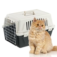 Ferplast ATLAS 10 EL transporter za kućne ljubimce za mačke i male pse do 5 kg, crni, 32,5x48x29 cm, plastična nosiljka 7