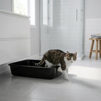 Otvorená toaleta pre mačky Ferplast NIP 30 XXL, s vysokým okrajom - čierna - 64,5x49,5x14,5 cm 2
