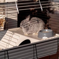 Cușcă pentru iepuri și cobai Ferplast Rabbit 100 Double, pe două niveluri, cu accesorii, metal negru și plastic, 95x57x93,5 cm 4